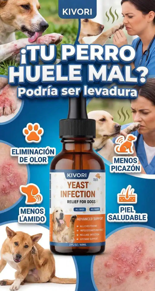 "¿Por qué las cremas no funcionan? Descubre cómo eliminar la picazón de tu mascota atacando el problema intestinal"